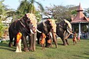 Pakalpooram (proces� slon�), Ernakulam Shiva Temple Festival (Ernakulathappan Uthsavam). Ernakulam, Kerala. Indie.