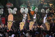 Pakalpooram (proces� slon�), Ernakulam Shiva Temple Festival (Ernakulathappan Uthsavam). Ernakulam, Kerala. Indie.