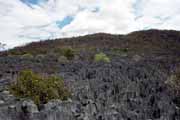 Velk� Tsingy, l'Ankarana N�rodn� park. Madagaskar.