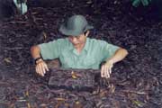Cu Chi tunely. Zde se ukr�vali voj�ci severn�ho Vietnamu b�hem vietnamsk� v�lky. Vietnam.