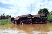 �ivot na vod� v Mekong delt�. Vietnam.