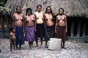 J�va - chr�m Borobudur